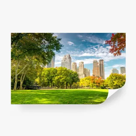 Papier peint paysage automnal à Central Park, New York – Wallnifity®