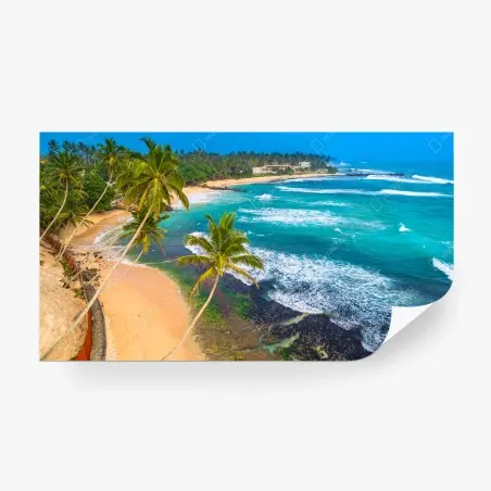 Papier peint paysage côtier tropical avec palmiers – Wallnifity®
