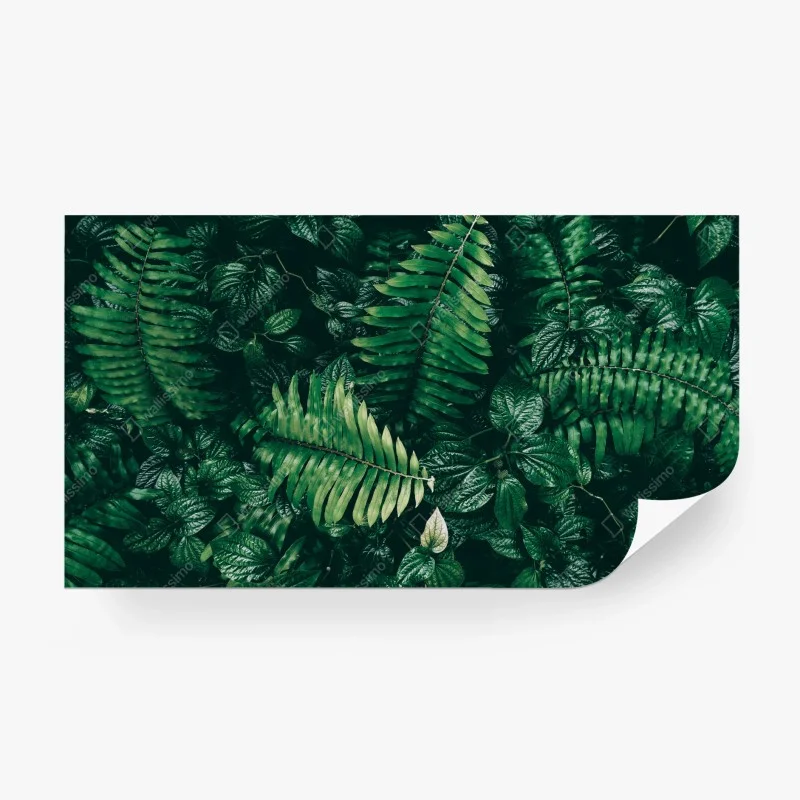 Papier peint mur de verdure tropicale sombre – Wallnifity® Papier peint mur de verdure tropicale sombre – Wallnifity®