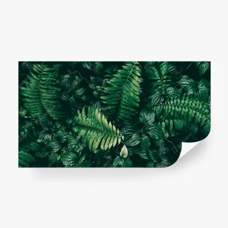 Papier peint mur de verdure tropicale sombre – Wallnifity®