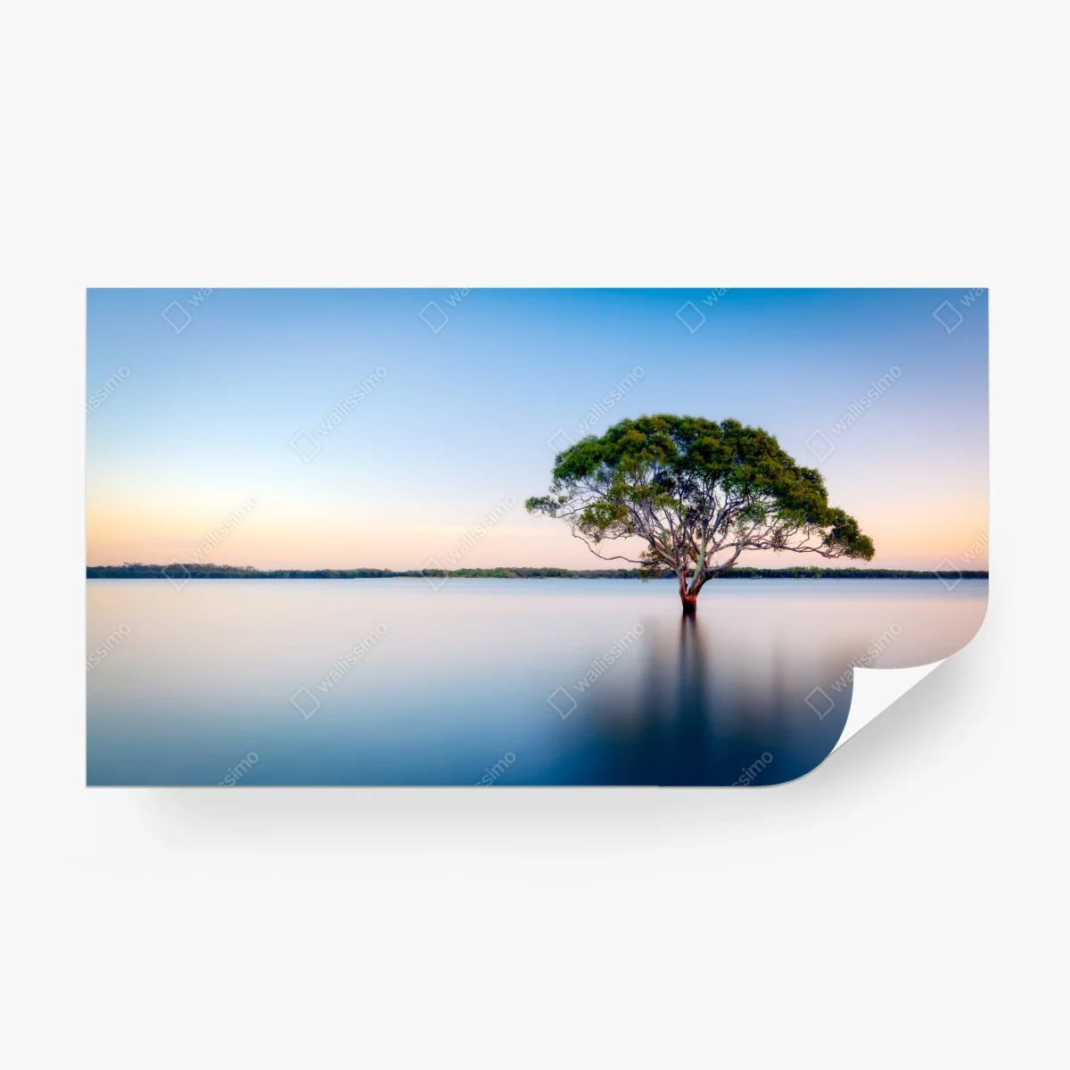 Papier peint arbre solitaire au milieu du lac – Wallnifity® Papier peint arbre solitaire au milieu du lac – Wallnifity®