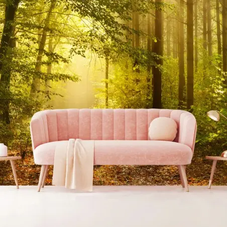 Papier peint chemin forestier baigné de lumière dorée – Wallnifity®