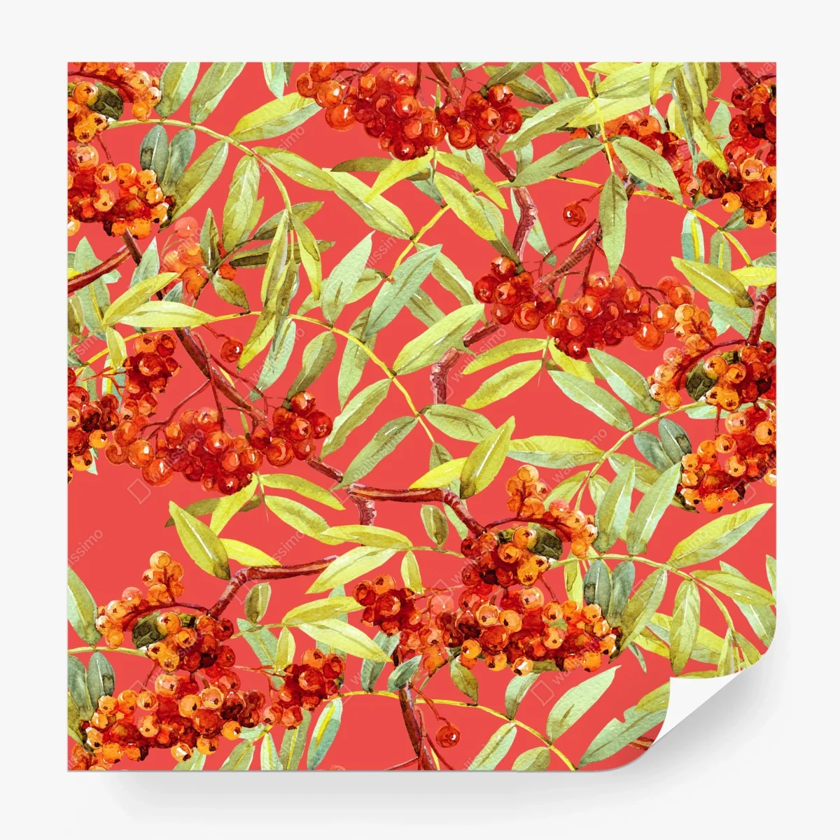 Papier peint motif de sorbier aux baies rouges à l'aquarelle – Wallnifity® Papier peint motif de sorbier aux baies rouges à l'aquarelle – Wallnifity®