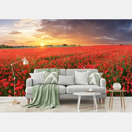 Papier peint mer de coquelicots au coucher du soleil – Wallnifity®