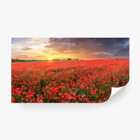 Papier peint mer de coquelicots au coucher du soleil – Wallnifity®