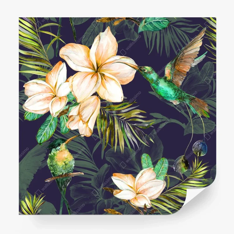 Papier peint jardin tropical aux colibris et frangipaniers sur fond sombre – Wallnifity® Papier peint jardin tropical aux colibris et frangipaniers sur fond sombre – Wallnifity®