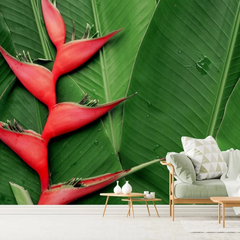 Fleurs et plantes – Wallnifity®