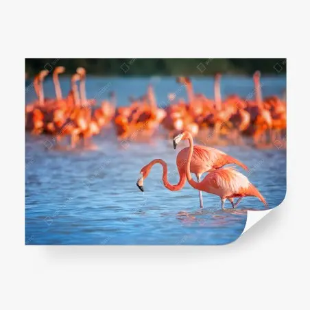 Papier peint élégance des flamants roses au bord de l'eau – Wallnifity®