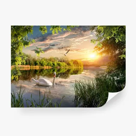 Papier peint paysage au coucher de soleil avec un cygne blanc – Wallnifity®