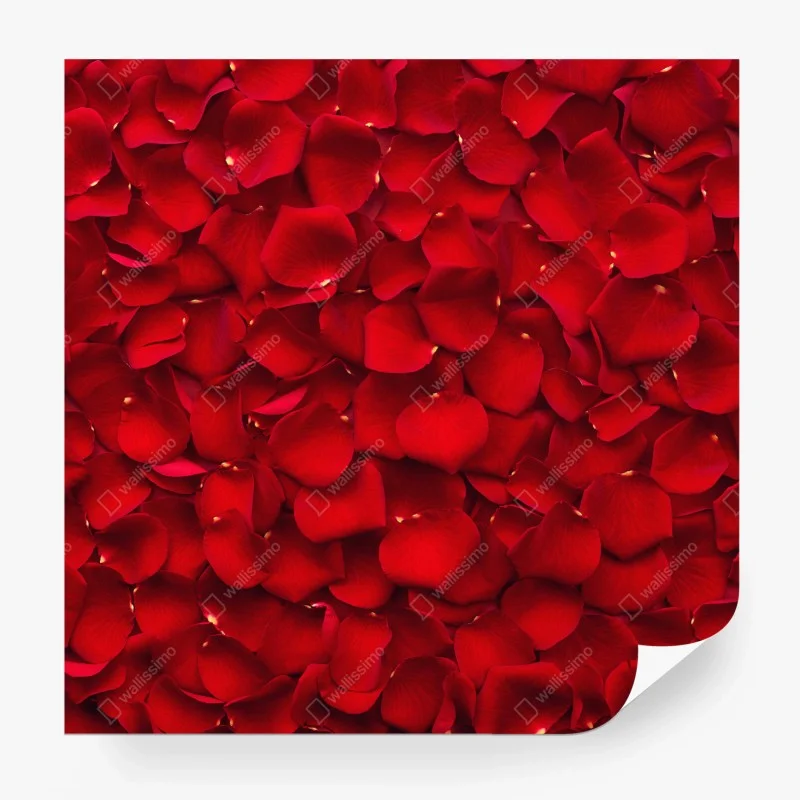 Papier peint mosaïque de pétales de rose rouges – Wallnifity® Papier peint mosaïque de pétales de rose rouges – Wallnifity®