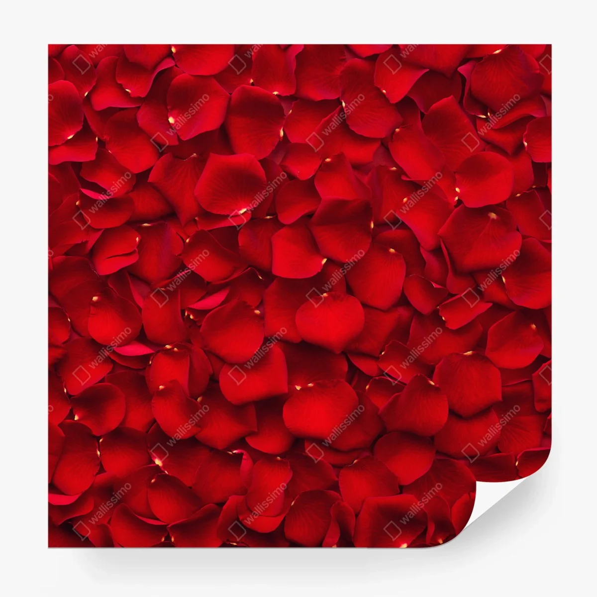 Papier peint mosaïque de pétales de rose rouges – Wallnifity® Papier peint mosaïque de pétales de rose rouges – Wallnifity®