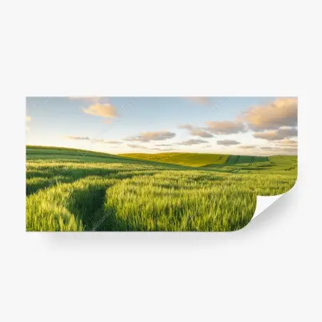 Papier peint panorama de champs verts au printemps – Wallnifity®