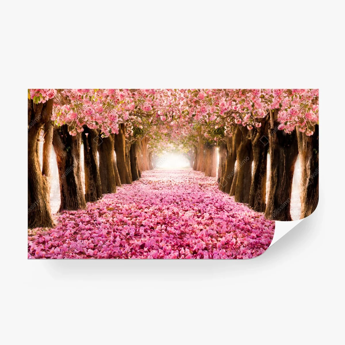 Papier peint allée de cerisiers en fleurs – Wallnifity® Papier peint allée de cerisiers en fleurs – Wallnifity®