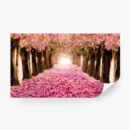 Papier peint allée de cerisiers en fleurs – Wallnifity®