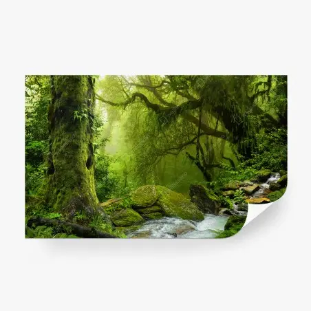 Papier peint forêt verdoyante au bord du ruisseau – Wallnifity®