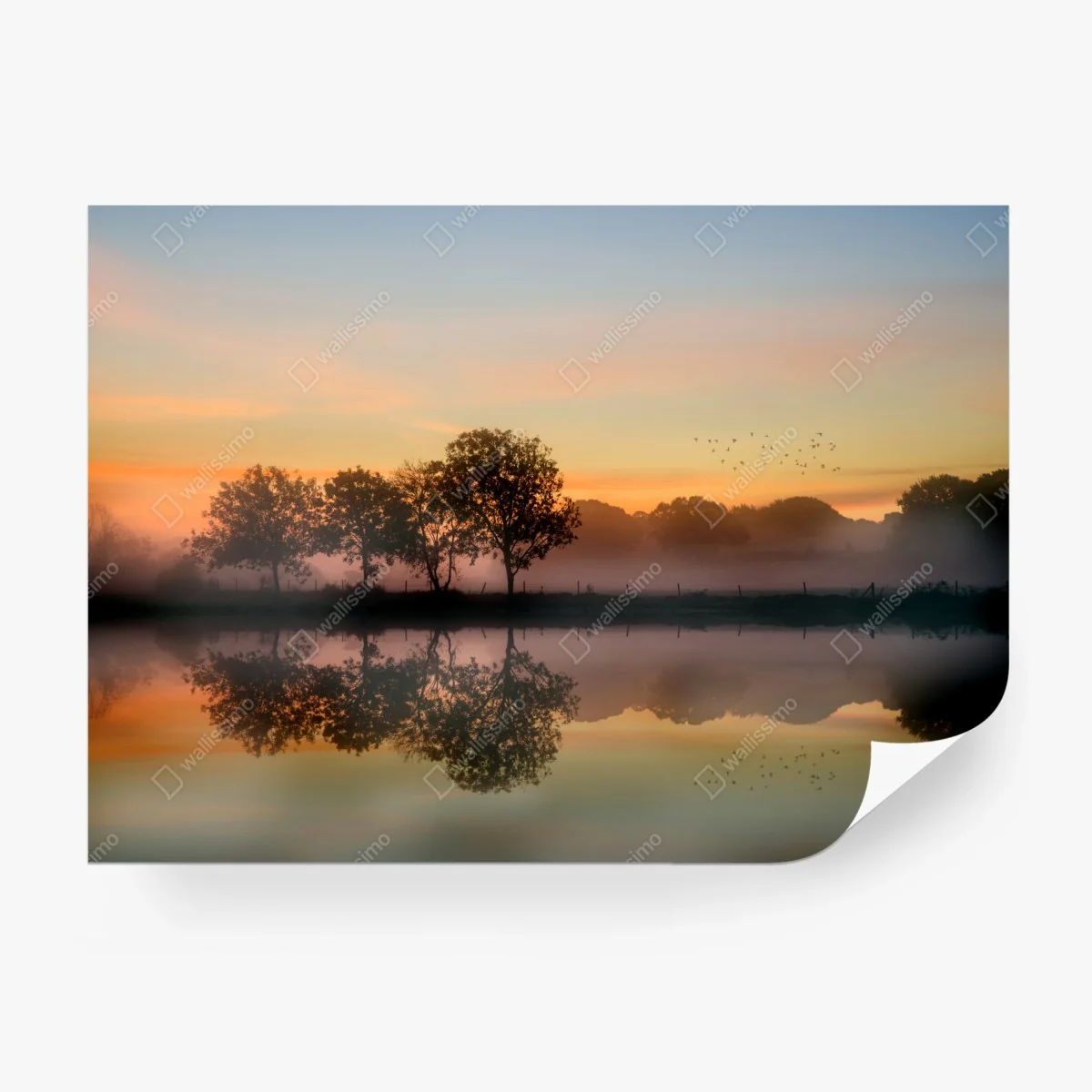 Papier peint matin brumeux au bord de l'étang – Wallnifity® Papier peint matin brumeux au bord de l'étang – Wallnifity®