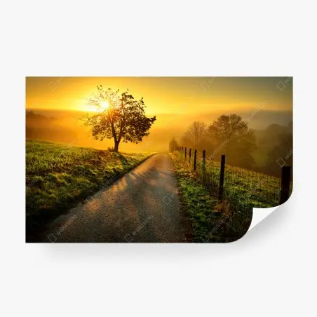 Papier peint lever de soleil sur chemin de campagne – Wallnifity®