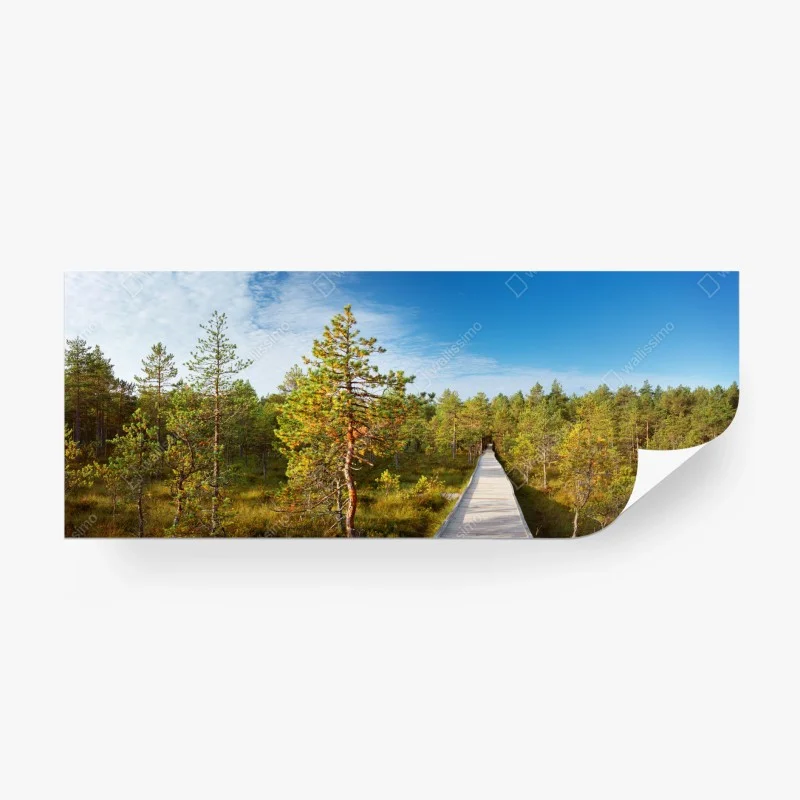 Papier peint passerelle en bois à travers la tourbière – Wallnifity® Papier peint passerelle en bois à travers la tourbière – Wallnifity®