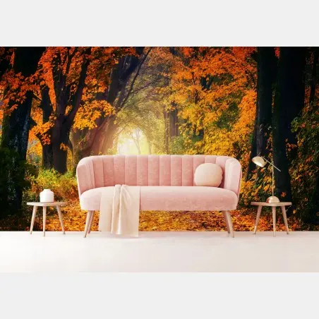 Papier peint allée d'automne baignée de lumière – Wallnifity®