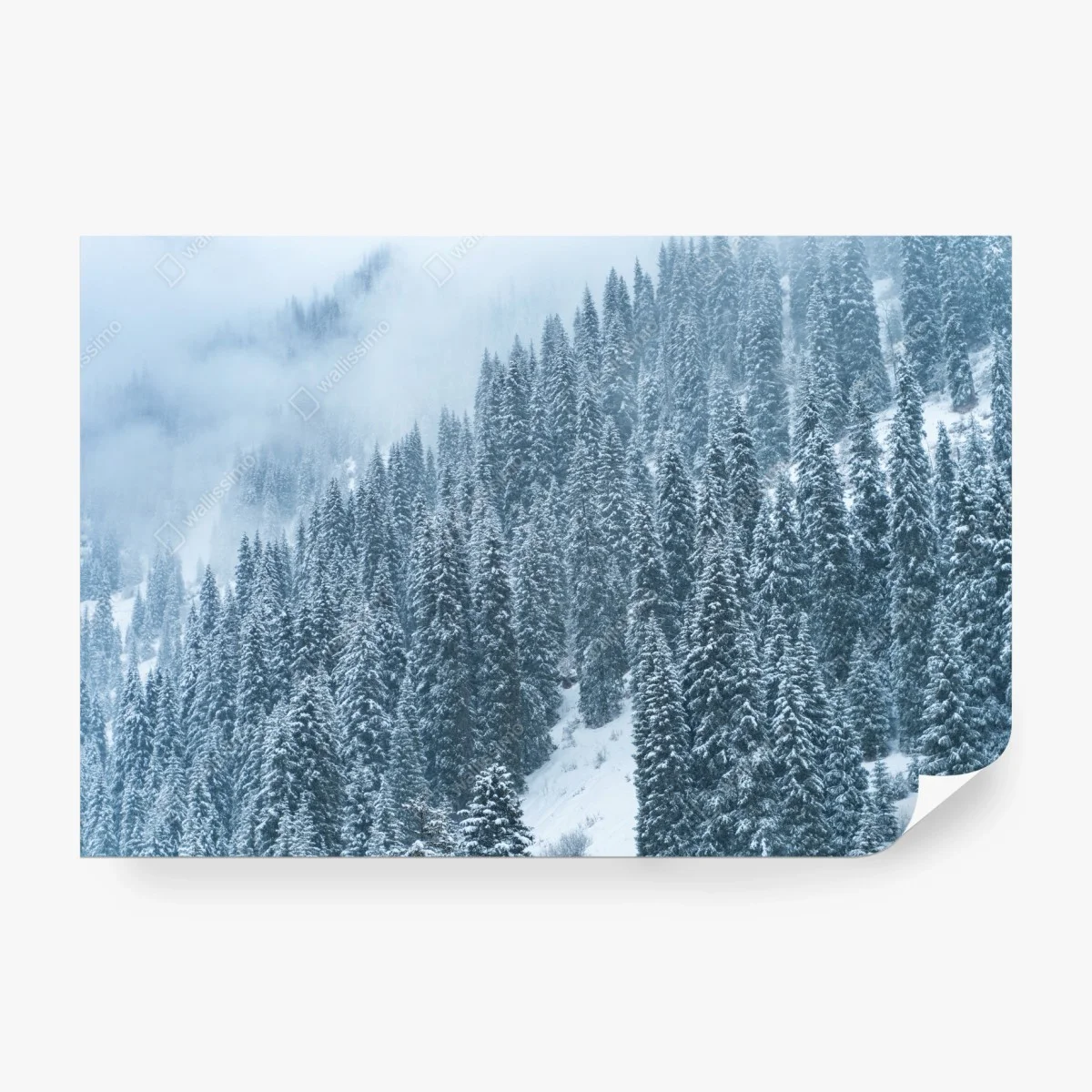 Papier peint forêt de sapins enneigée – Wallnifity® Papier peint forêt de sapins enneigée – Wallnifity®