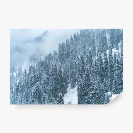 Papier peint forêt de sapins enneigée – Wallnifity®