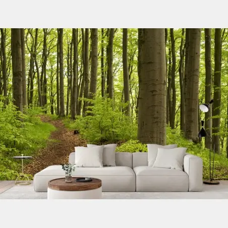 Papier peint sentier dans la forêt verdoyante – Wallnifity®