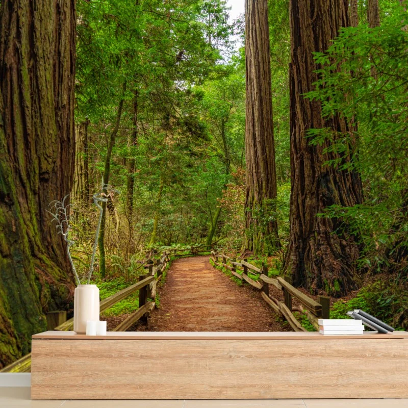 Nature – Wallnifity®