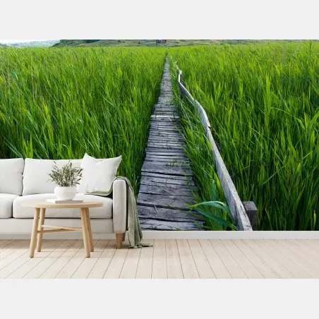 Papier peint chemin de bois au milieu des hautes herbes – Wallnifity®