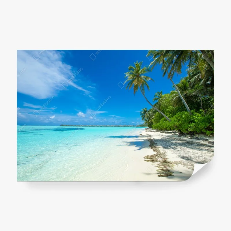 Papier peint île tropicale des Maldives au sable blanc – Wallnifity® Papier peint île tropicale des Maldives au sable blanc – Wallnifity®