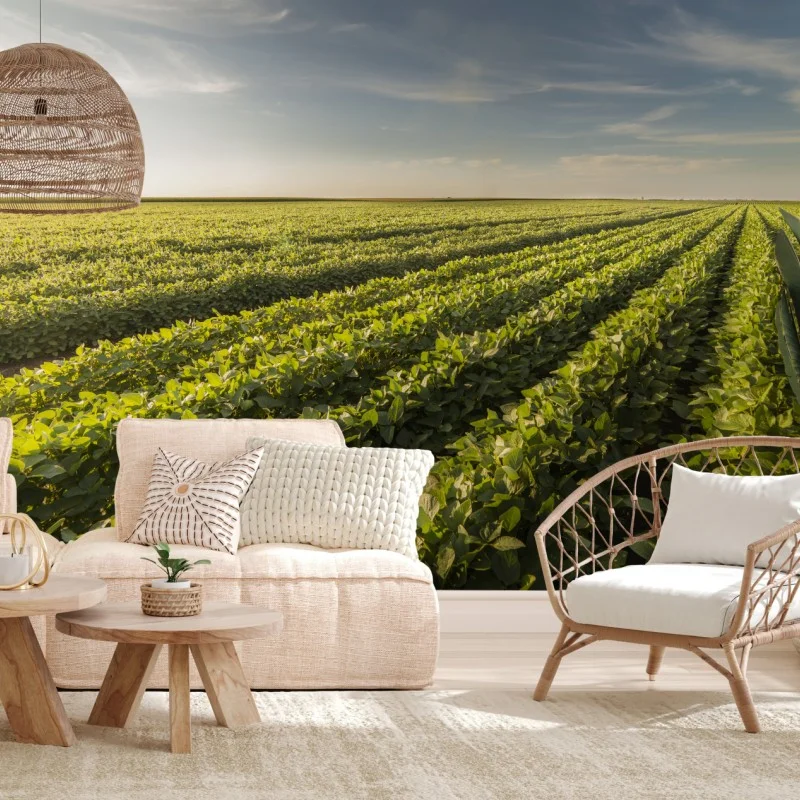 Nature – Wallnifity®