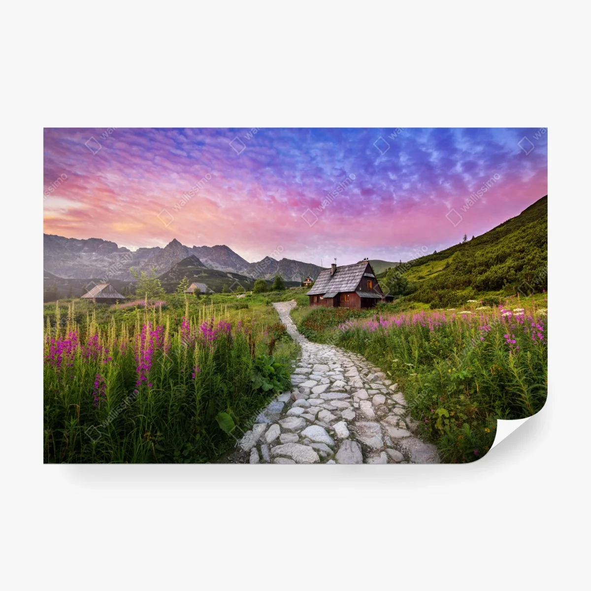 Papier peint lever de soleil estival à Hala Gąsienicowa, Tatras – Wallnifity®