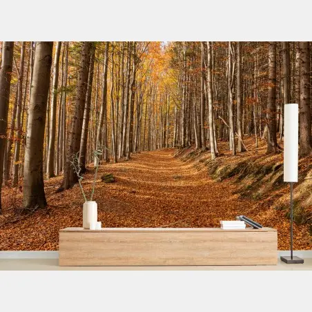 Papier peint chemin d'automne en forêt dorée – Wallnifity®