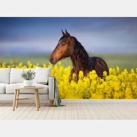 Papier peint cheval bai dans un champ de colza – Wallnifity®
