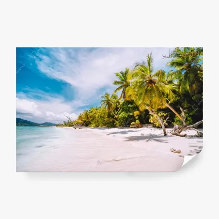 Papier peint plage tropicale ensoleillée bordée de palmiers – Wallnifity®