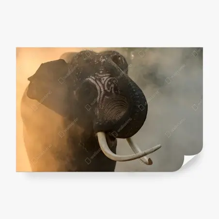 Papier peint éléphant de Surin aux défenses majestueuses – Wallnifity®