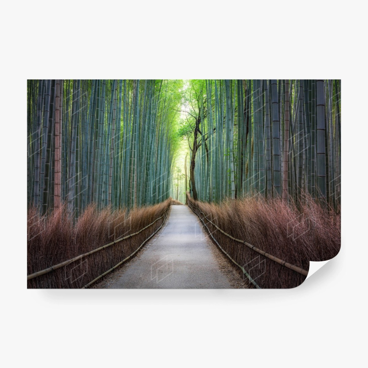Papier peint allée de bambous sereine – Wallnifity®