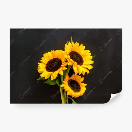 Papier peint bouquet lumineux de tournesols sur fond noir – Wallnifity®