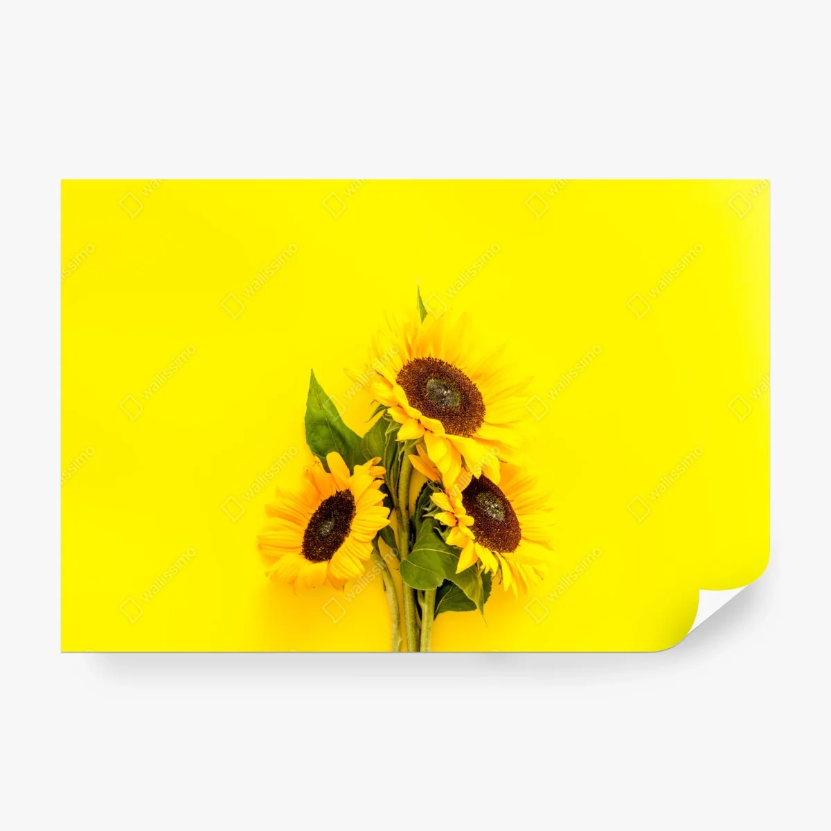 Papier peint bouquet de tournesols sur fond jaune – Wallnifity® Papier peint bouquet de tournesols sur fond jaune – Wallnifity®