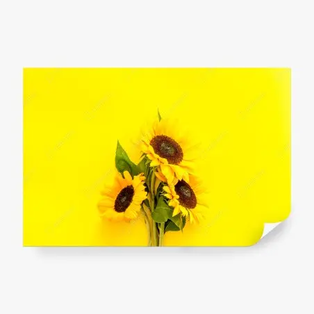 Papier peint bouquet de tournesols sur fond jaune – Wallnifity®