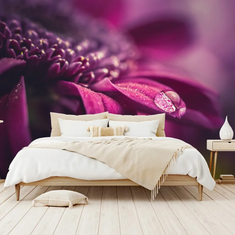 Fleurs et plantes – Wallnifity®