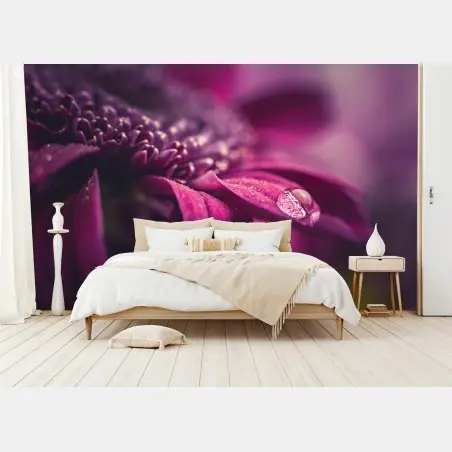 Papier peint goutte de rosée sur pétale pourpre – Wallnifity®