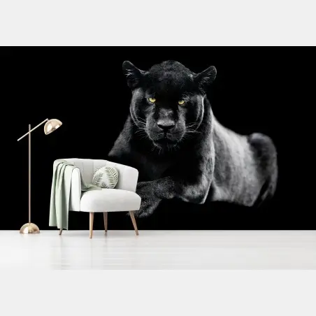Papier peint regard perçant du jaguar noir – Wallnifity®