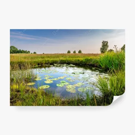 Papier peint étang de nénuphars et prairie sauvage – Wallnifity®