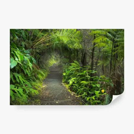 Papier peint forêt tropicale luxuriante sur le sentier Kilauea Iki – Wallnifity®