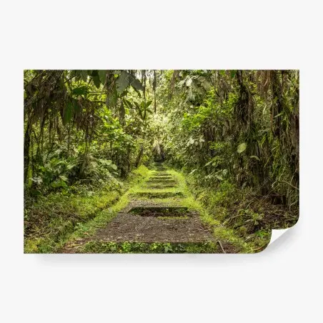 Papier peint sentier tropical verdoyant – Wallnifity®