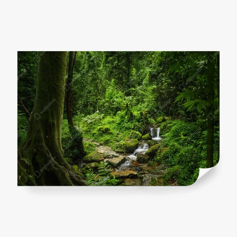 Papier peint refuge verdoyant au bord du ruisseau – Wallnifity® Papier peint refuge verdoyant au bord du ruisseau – Wallnifity®