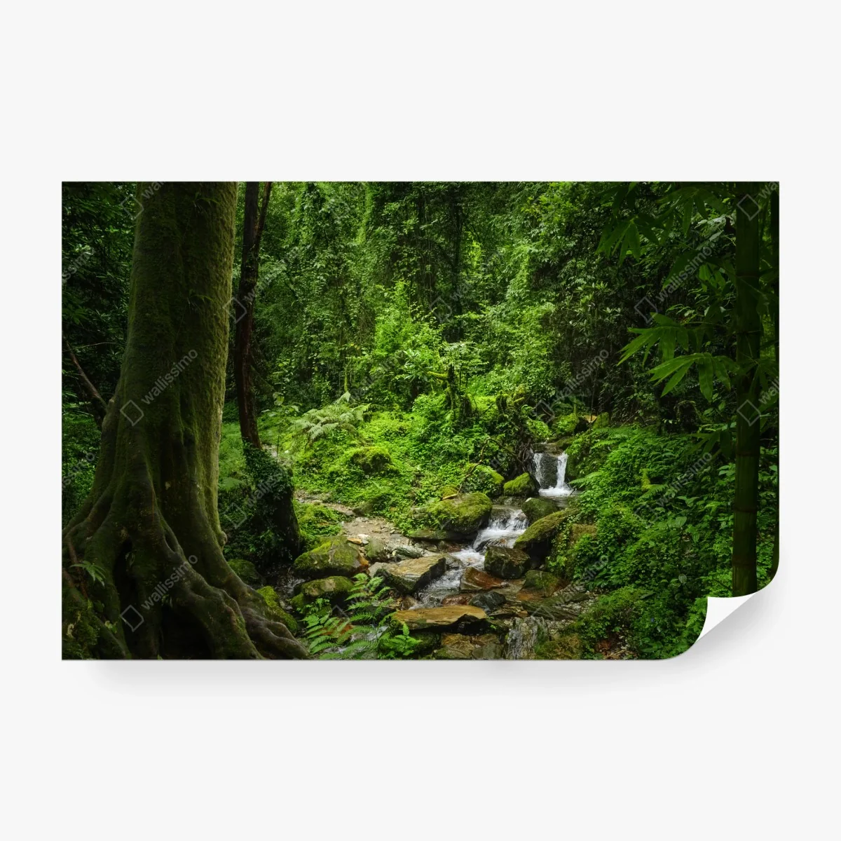Papier peint refuge verdoyant au bord du ruisseau – Wallnifity® Papier peint refuge verdoyant au bord du ruisseau – Wallnifity®