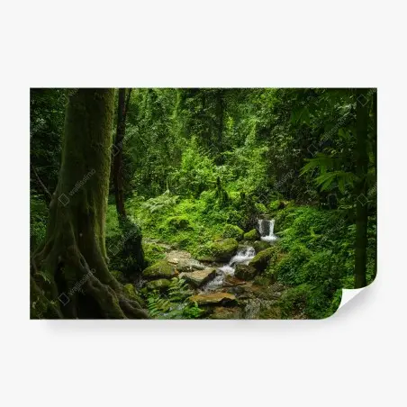 Papier peint refuge verdoyant au bord du ruisseau – Wallnifity®