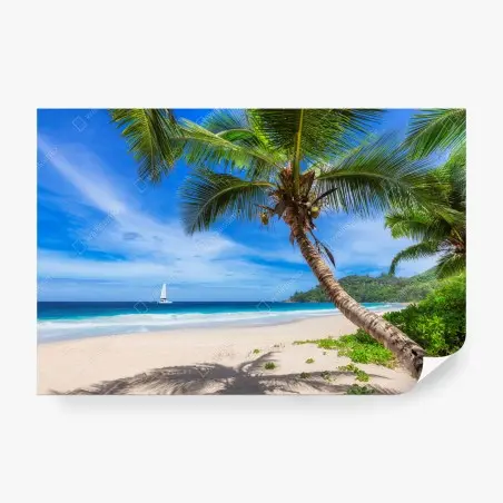 Papier peint plage tropicale au cocotier – Wallnifity®