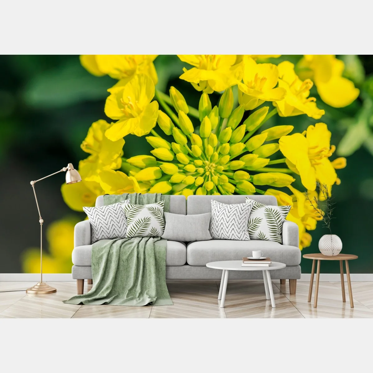 Papier peint fleur de colza en gros plan – Wallnifity® Papier peint fleur de colza en gros plan – Wallnifity®